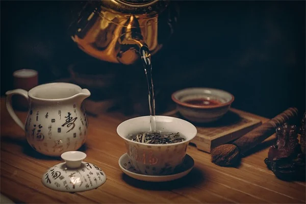 伞草の水耕栽培ガイド｜失敗しない育て方のコツ