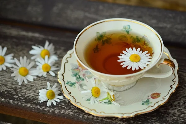 【実体験】ベランダ菜園で50個収穫！初心者が知らない失敗とコツ5選