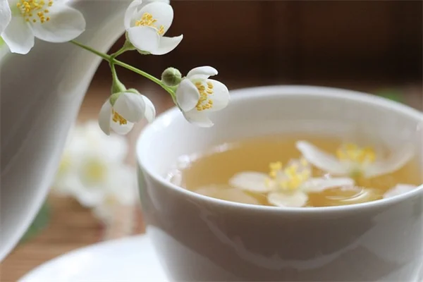 赤い朱頂紅のおすすめ品種8選！育て方のコツを徹底解説