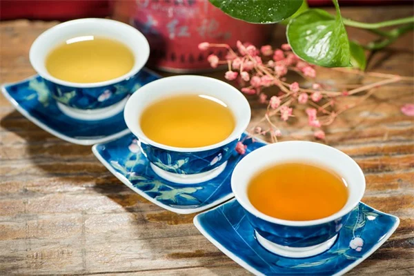 トマト栽培の5つの魅力とは？初心者でも簡単に育てられる理由とコツ