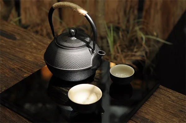 つる植物の組み合わせ方：一緒に育てる5つの実践コツ