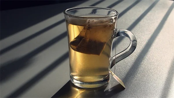 アメリカ南部の庭を脅かす害虫6種と対策：地域別の防除ガイド